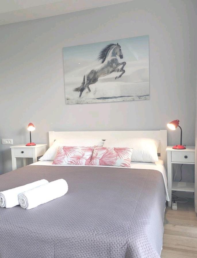 Gorgeous Dubrovnik Sea View Apartment With Free Parking Екстер'єр фото
